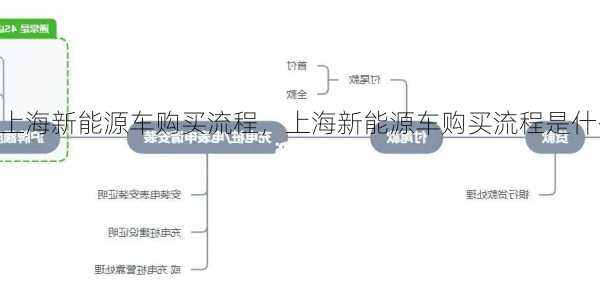 上海新能源车购买流程，上海新能源车购买流程是什么？