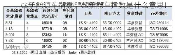 cs新能源车指数，cs新能车指数是什么意思！