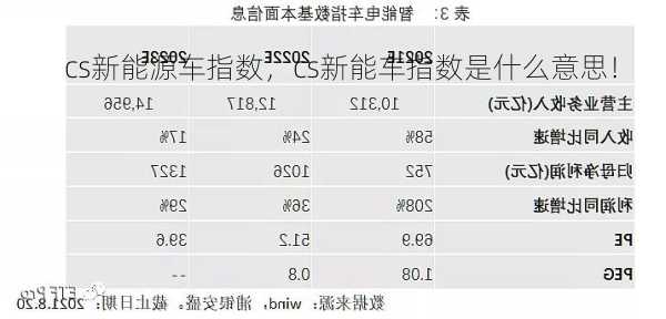 cs新能源车指数，cs新能车指数是什么意思！