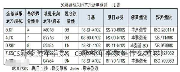 cs新能源车指数，cs新能车指数是什么意思！