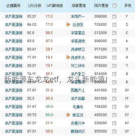 新能源车龙龙etf，龙头新能源！