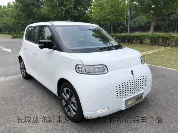 长城迷你新能源车，长城迷你新能源车价格