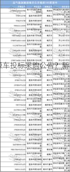 新能源车投标采购公告？新能源车投标采购公告怎么写？