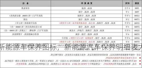 新能源车保养图标，新能源汽车保养明细表大全