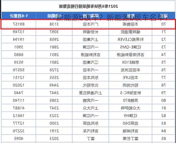 新能源b级车？新能源b级车名单？