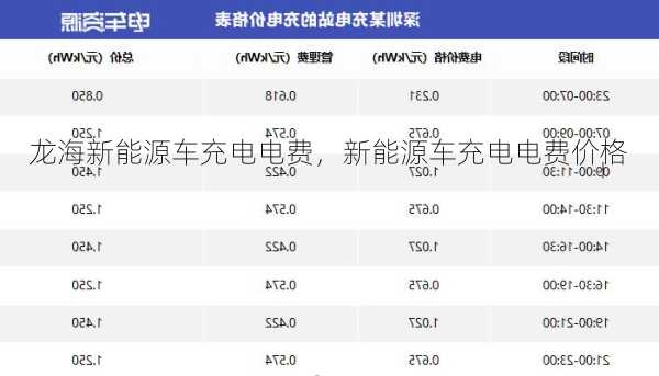 龙海新能源车充电电费，新能源车充电电费价格