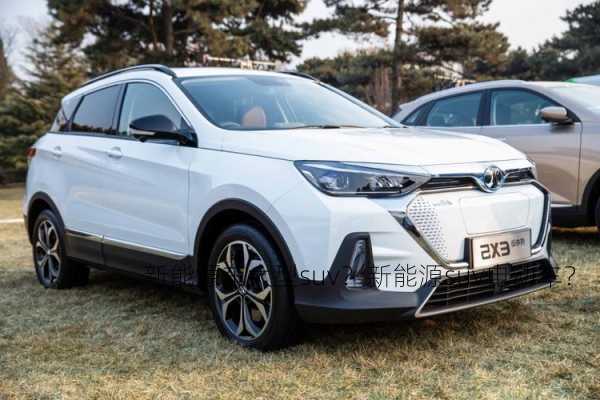 新能源车大型suv？新能源suv电动车？