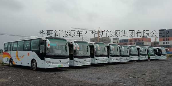 华哥新能源车？华新能源集团有限公司？