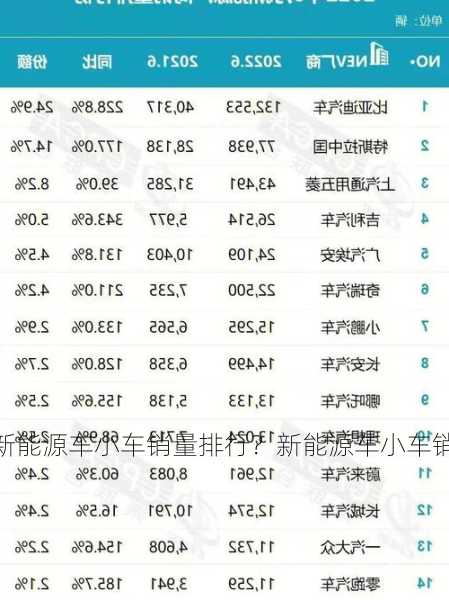 新能源车小车销量排行？新能源车小车销量排行榜？