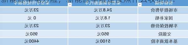 新能源车电力险，新能源车险是按照什么收费的！