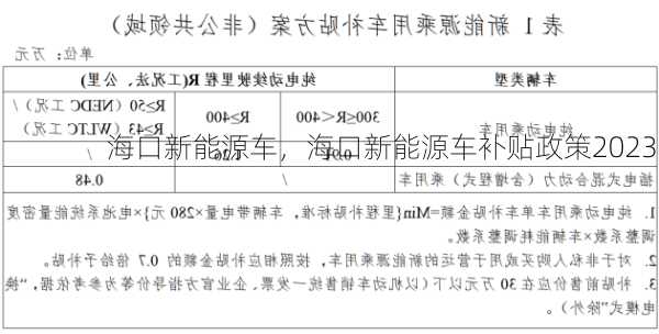 海口新能源车，海口新能源车补贴政策2023