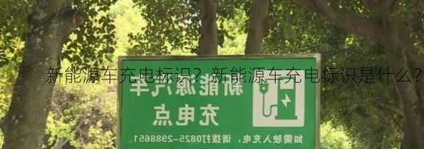 新能源车充电标识？新能源车充电标识是什么？