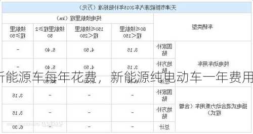 新能源车每年花费，新能源纯电动车一年费用！