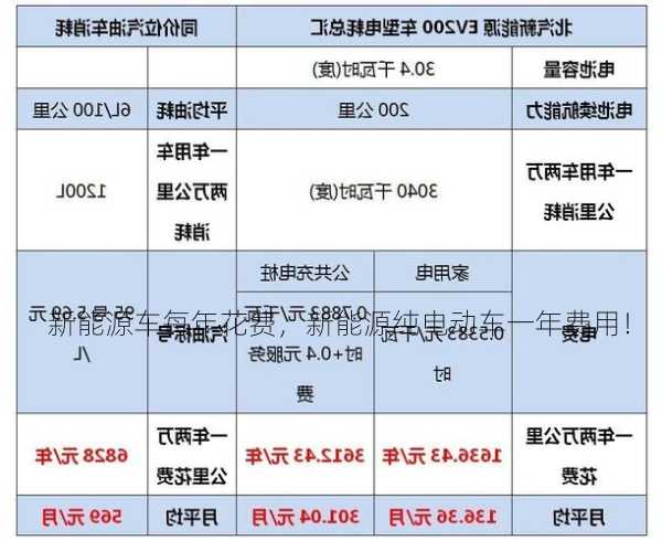 新能源车每年花费，新能源纯电动车一年费用！