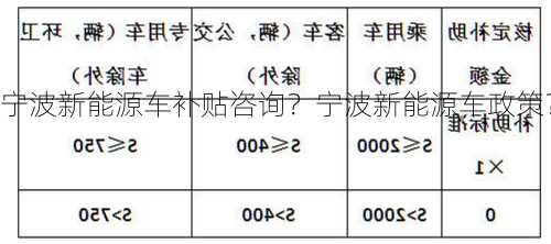 宁波新能源车补贴咨询？宁波新能源车政策？