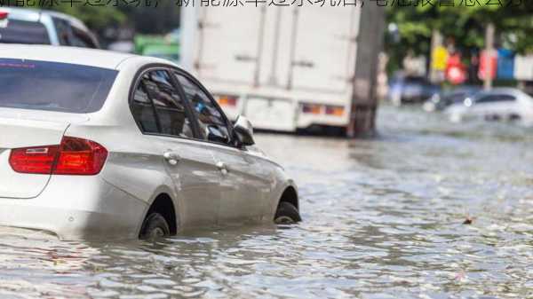 新能源车过水坑，新能源车过水坑后,电池报警怎么办？