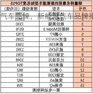 新能源气车品牌，新能源气车品牌排行榜！