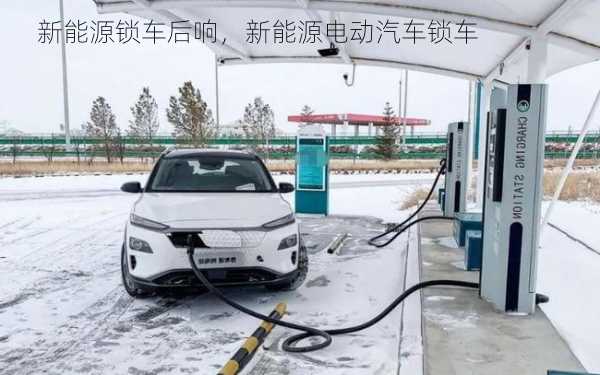 新能源锁车后响，新能源电动汽车锁车