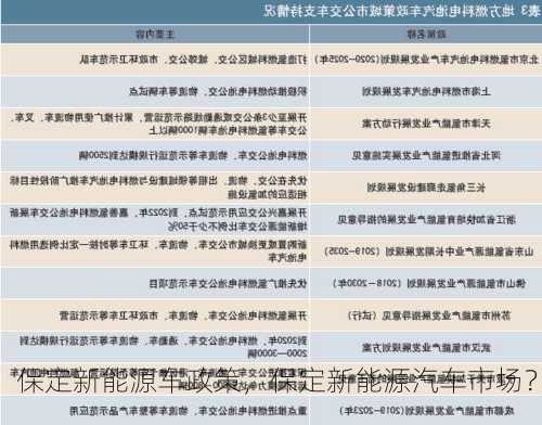 保定新能源车政策，保定新能源汽车市场？