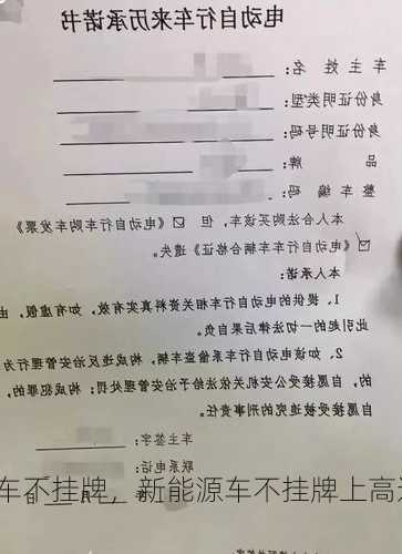 新能源车不挂牌，新能源车不挂牌上高速怎么处罚