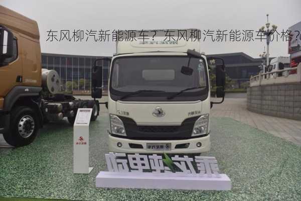 东风柳汽新能源车？东风柳汽新能源车价格？