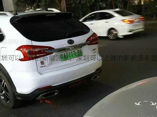 深圳可以上牌的新能源车，深圳可以上牌的新能源车型？