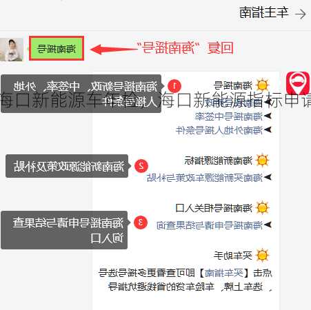 海口新能源车年检，海口新能源指标申请？