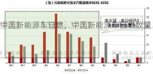 中国新能源车自燃，中国新能源车自燃数量