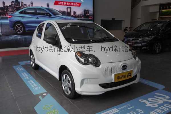 byd新能源小型车，byd新能源纯电动！