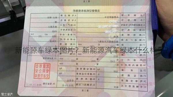 新能源车绿本图片？新能源汽车绿本什么样子？