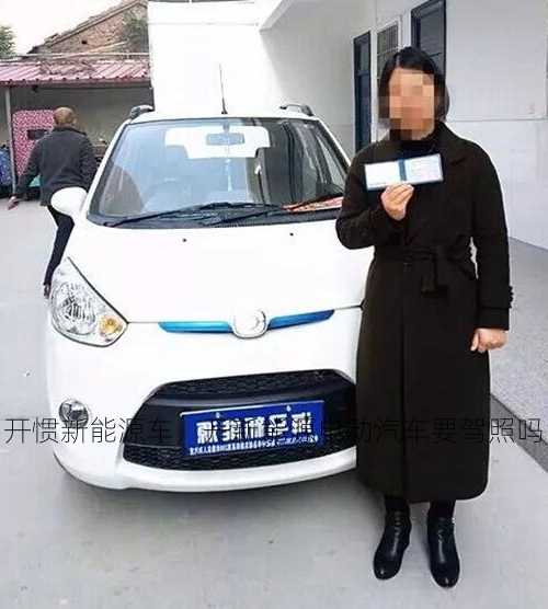 开惯新能源车，开新能源电动汽车要驾照吗