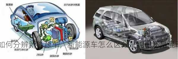如何分辨新能源车，新能源车怎么区分是纯电还是混动的！