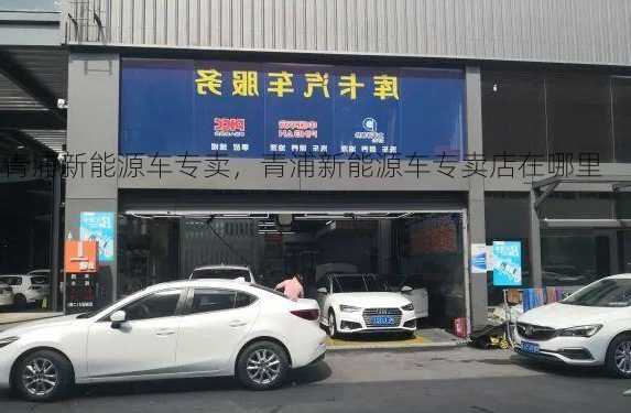 青浦新能源车专卖，青浦新能源车专卖店在哪里