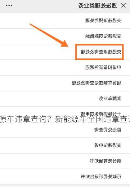 新能源车违章查询？新能源车全国违章查询？