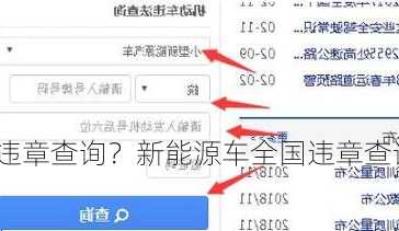 新能源车违章查询？新能源车全国违章查询？